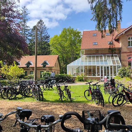 Hotel Schloesschen Sundische Wiese Zingst Dış mekan fotoğraf