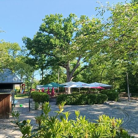 Hotel Schloesschen Sundische Wiese Zingst Dış mekan fotoğraf