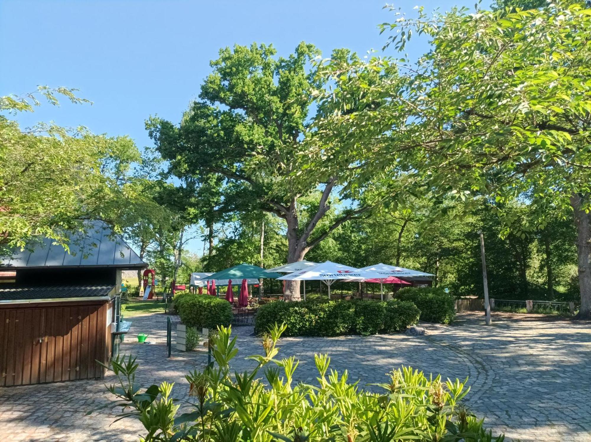 Hotel Schloesschen Sundische Wiese Zingst Dış mekan fotoğraf