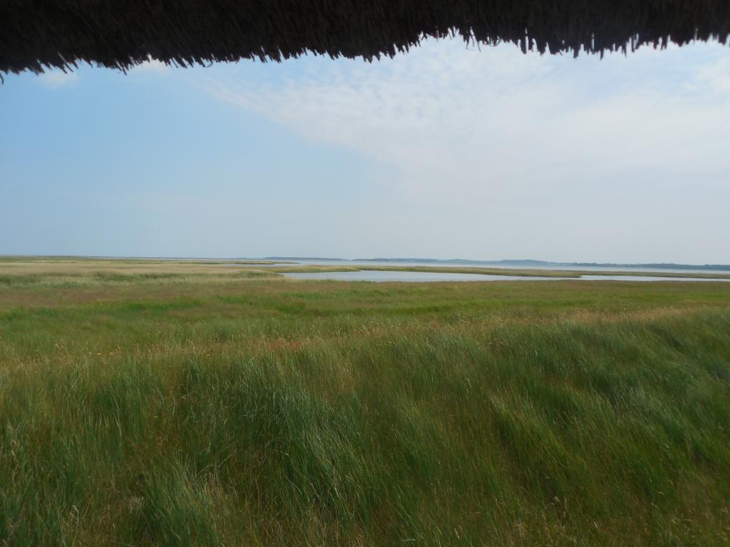 Hotel Schloesschen Sundische Wiese Zingst Dış mekan fotoğraf